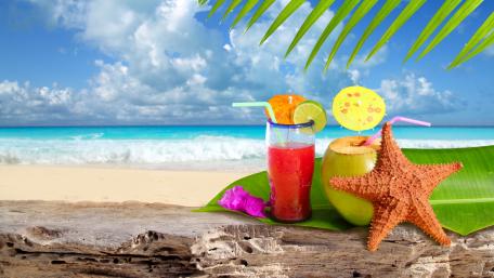 Tropical Escape Blissful Vibes for Your Screen wallpaper