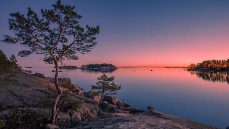 Tranquil Reflections of Nature at Dusk wallpaper