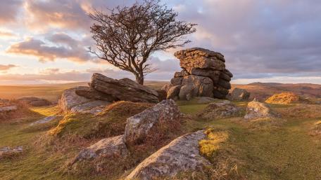 Majestic Sunset Over Ancient Stones and Solitary Tree wallpaper