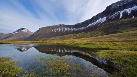 Majestic Reflections of Nature's Beauty wallpaper