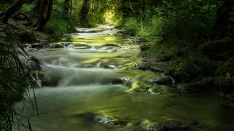 Serene Waters of Tranquility wallpaper