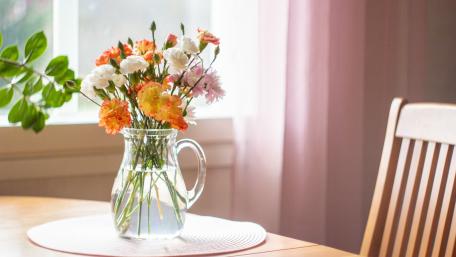Vibrant Blooms in a Serene Setting wallpaper