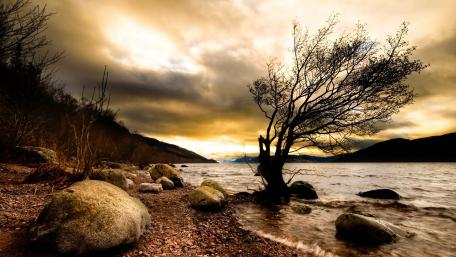 Serene Lakeside Landscape with Sunset Glow wallpaper