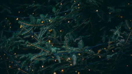 Shimmering Holiday Lights on a Christmas Tree wallpaper