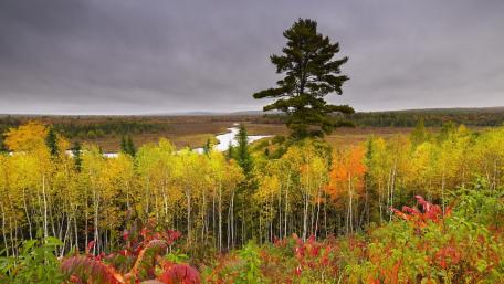Autumn Serenity Overlooking a Scenic River View wallpaper