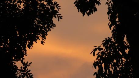 Sunset wallpaper