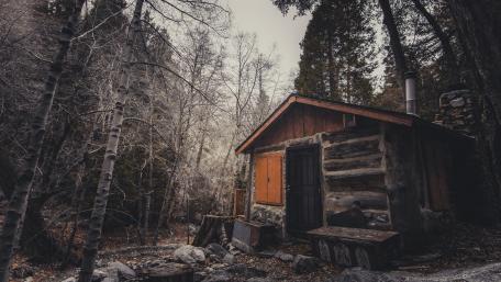 Wood house in a forest wallpaper