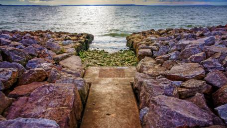 Tranquil Pathway to the Water's Edge wallpaper
