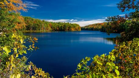 Tranquil Autumn Reflections in a Serene Lake wallpaper