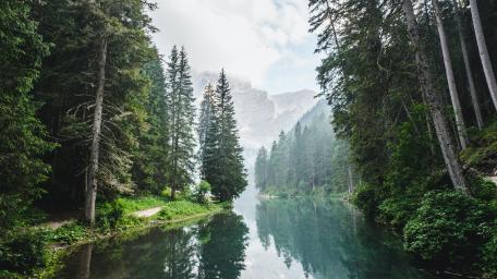 Tranquil Forest Lake Escape in 4K wallpaper