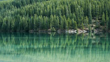 Reflections of Serenity in a Forest Lake wallpaper