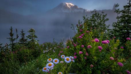 Majestic Mountain View Surrounded by Wildflowers wallpaper