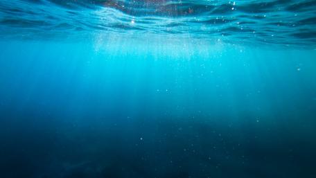 Serenity Beneath the Waves wallpaper