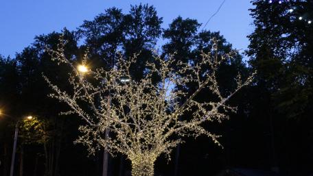 Sparkling Winter Wonderland Tree Decorated with Lights wallpaper