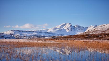 Winter Serenity at the Lake's Edge wallpaper