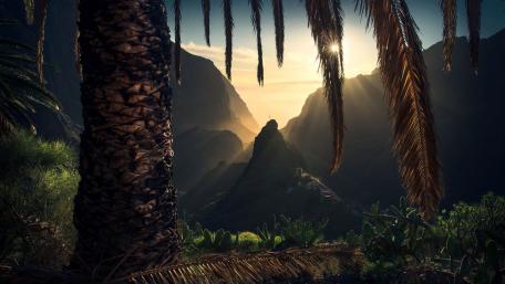 Masca wallpaper
