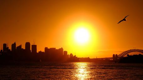 Sunset Silhouette of a Bustling Cityscape wallpaper