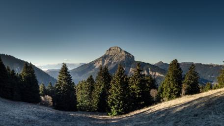Majestic Alpine Serenity wallpaper