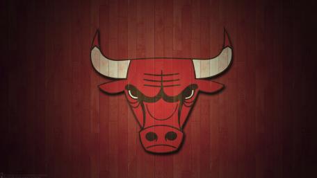 Chicago Bulls Emblem in Stylish 4K wallpaper