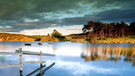 Tranquil Lake at Dusk with Reflections and Trees wallpaper