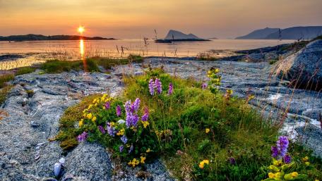 Serene Sunset Over a Coastal Landscape wallpaper