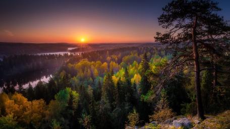 Serene Sunset Over Enchanted Forests wallpaper