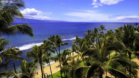 Tropical Paradise by the Sea wallpaper