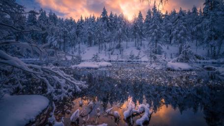 Winter Wonderland Reflection in Nature's Beauty wallpaper