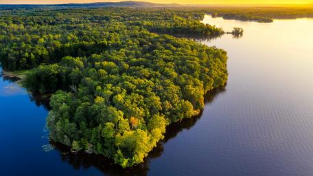 Serene Forest Oasis by the Lake wallpaper