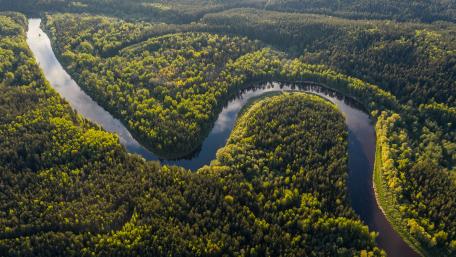 Amazon River wallpaper