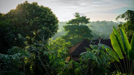 Serene Forest Cottage View in Nature wallpaper