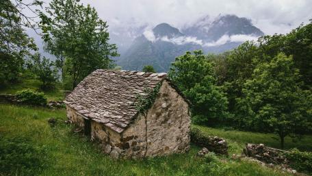 Serene Forest Hut Amidst Lush Greenery wallpaper