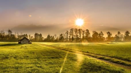 Serene Sunrise Over a Tranquil Field and Hut wallpaper
