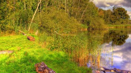 Serene Riparian Retreat by the Lake wallpaper