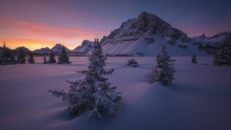 Bow Lake wallpaper
