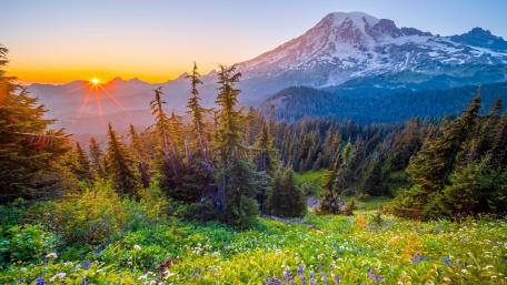 Sunrise wallpaper