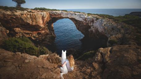 Serene Dog and Girl at Natural Arch by the Sea wallpaper