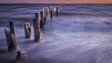 Ethereal Waves and Weathered Stumps at Sea wallpaper