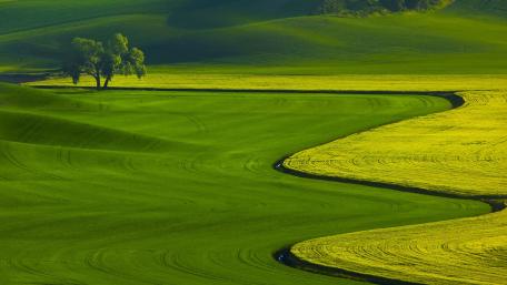 Vibrant Green Fields Under a Sunlit Sky wallpaper