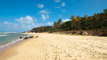 Sandy Paradise: Tranquil Beach Escape wallpaper