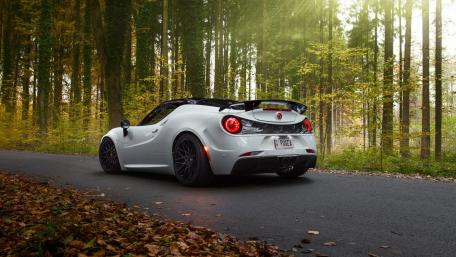 Sleek Alfa Romeo 4C in Serene Forest Setting wallpaper