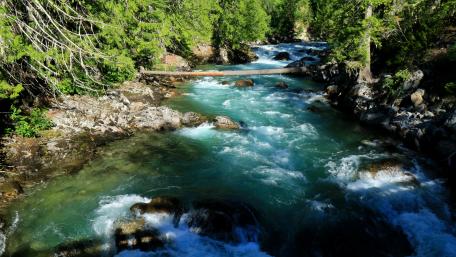 Emerald Rapids in the Forest wallpaper
