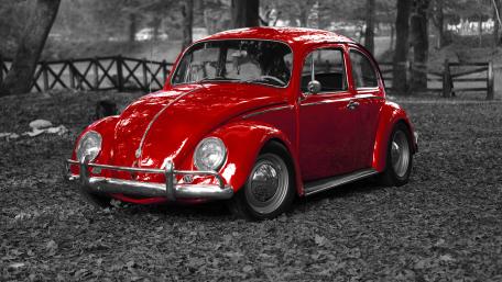 Classic Red Volkswagen Beetle in Monochrome Forest wallpaper