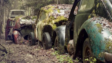Abandoned Vintage Cars in Nature's Embrace wallpaper