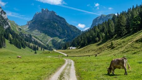 Way in the mountains' valley wallpaper