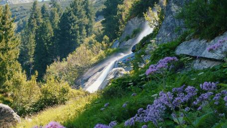 Serene Waterfall Amidst Lush Greenery and Flowers wallpaper