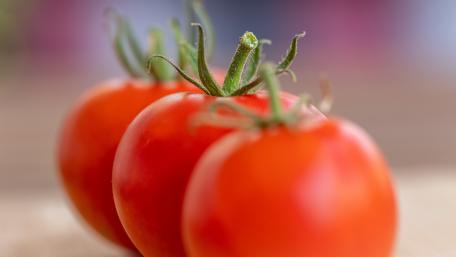 Fresh Tomatoes Ready to Be Sliced for Any Dish wallpaper