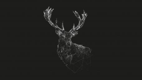 Geometric Deer in Darkness wallpaper