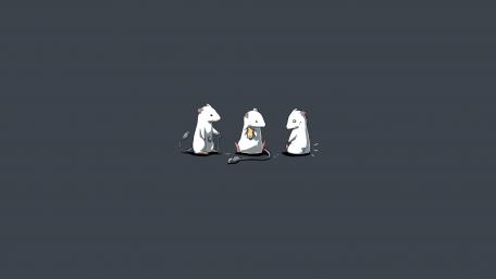 Three Mice in a Hilarious Encounter wallpaper