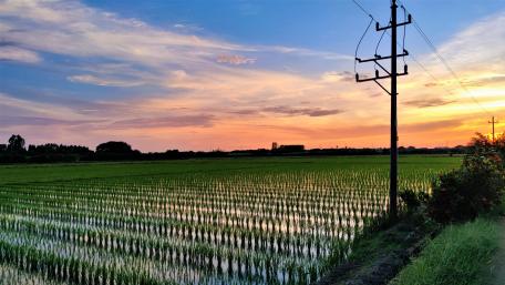 Tranquil Sunset Over Lush Green Fields wallpaper